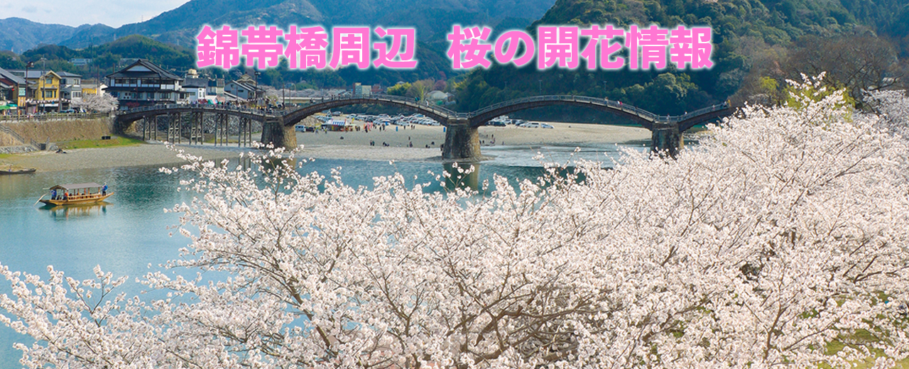 岩国市 トップページ