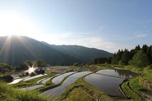 錦町上沼田の棚田