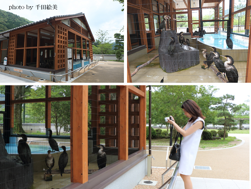 2017年春に吉香公園内に完成した鵜舎