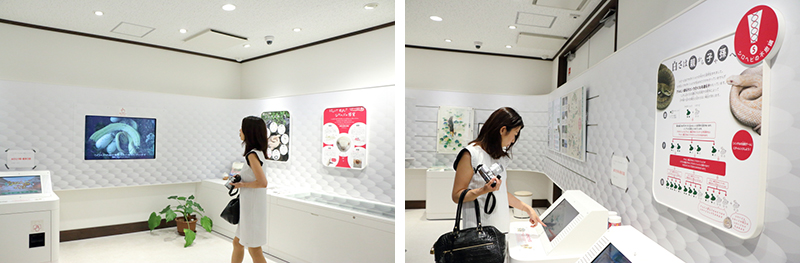 シロヘビの館の中の展示やゲームを楽しむ千田さん