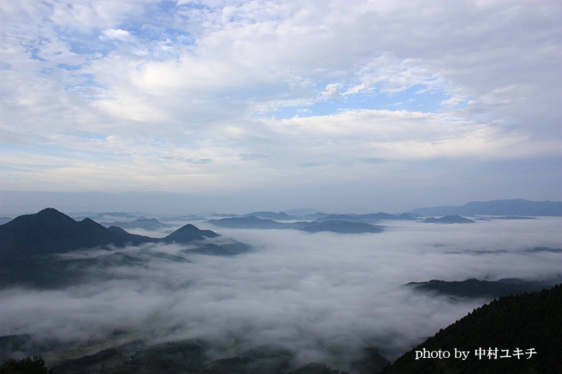高照寺山から見る雲海