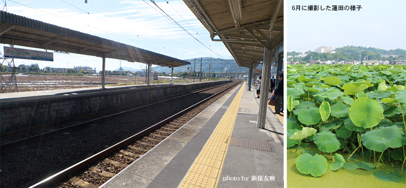 南岩国駅のホームとその向こうに見える蓮田