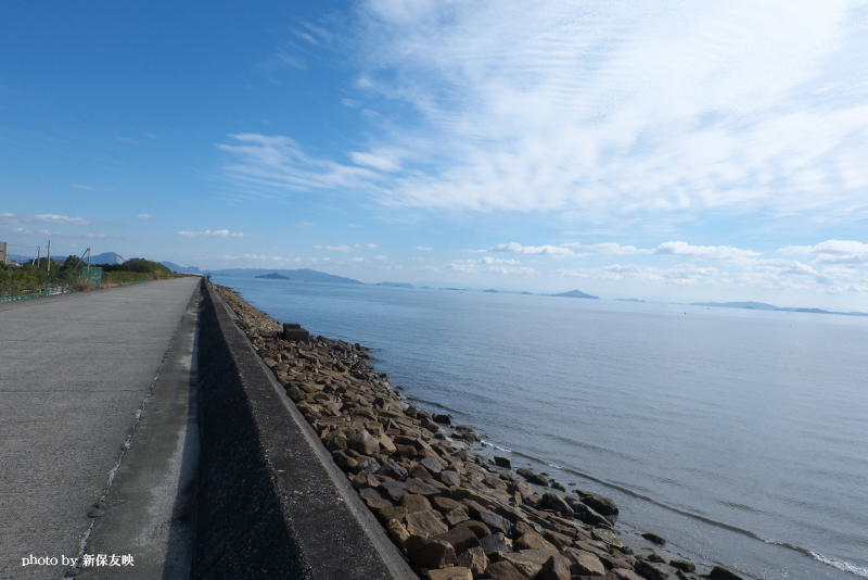 尾津沖の海岸と道路