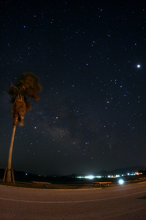 潮風公園と夏の星座