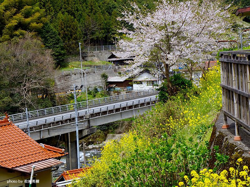 とことこトレインから眺める風景も絶景