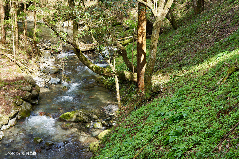 日本屈指の清流・錦川支流の宇佐川