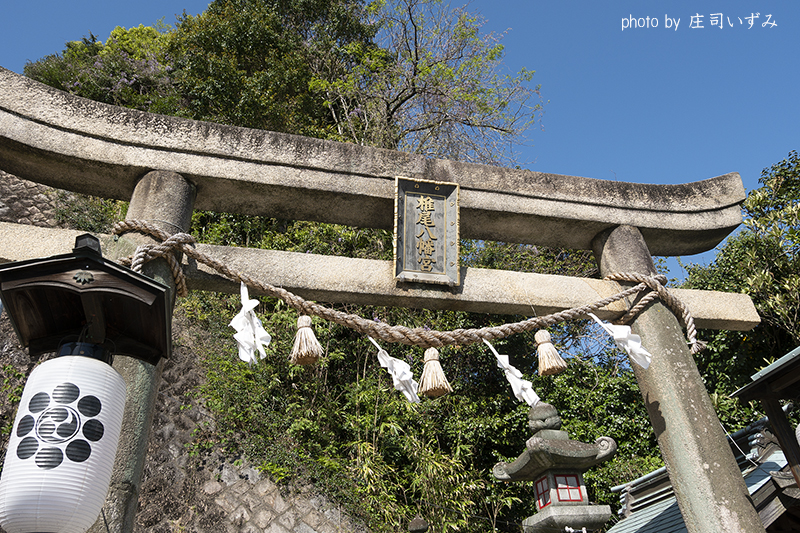 椎尾神社鳥居