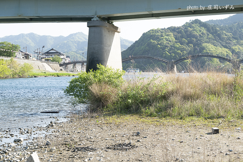 錦城橋から錦帯橋まで見える写真