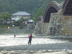 鮎掛け解禁