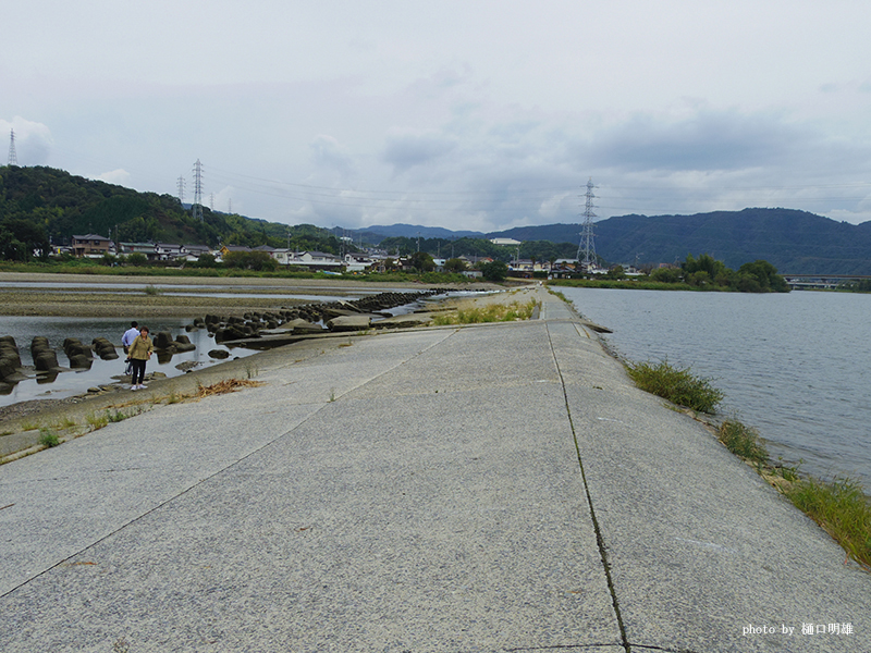 井堰（全体）