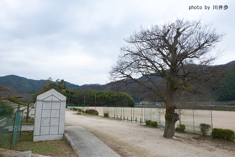 河川敷グランド1