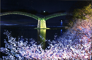 夜桜橋