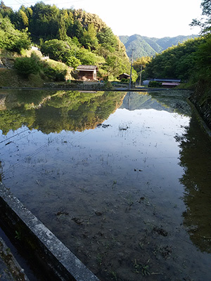 でっかい鏡