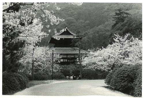 昭和43年の錦雲閣の写真