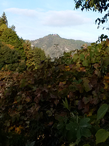 お弥山