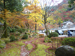 紅葉と銀杏