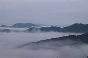 雲海