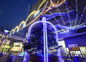 イブの夜