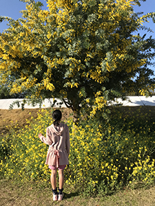 ミモザと菜の花。春色満開