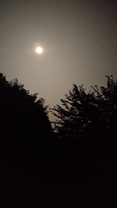 満月の夜