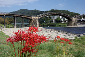 お彼岸の頃