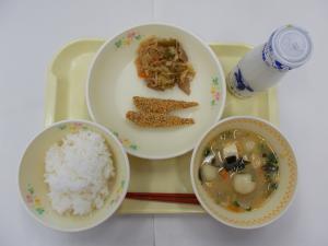 11月6日写真
