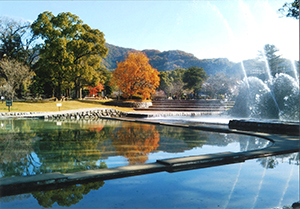 自慢の公園