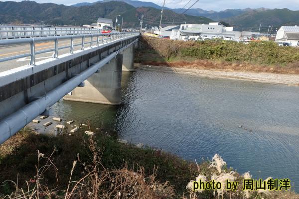 島田川の写真