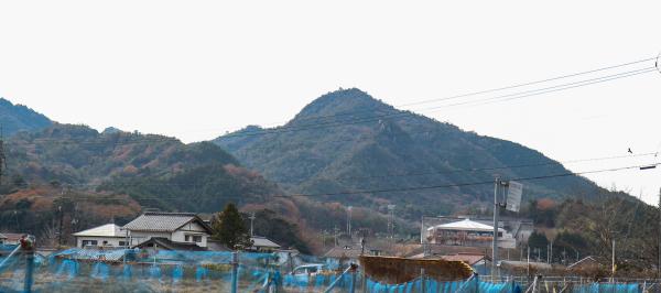 大黒山の写真