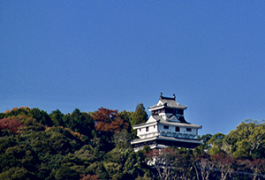 青空の下凛として