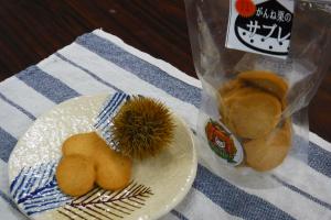 活動写真