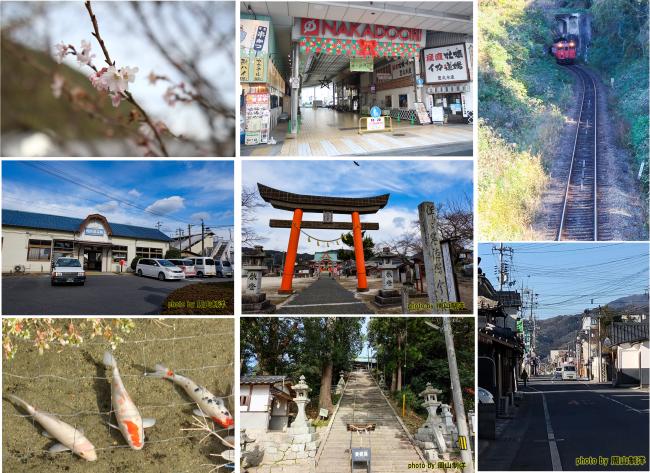これまで使用した写真（カラー）