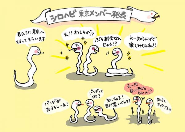 イラスト（白蛇東京メンバー発表）
