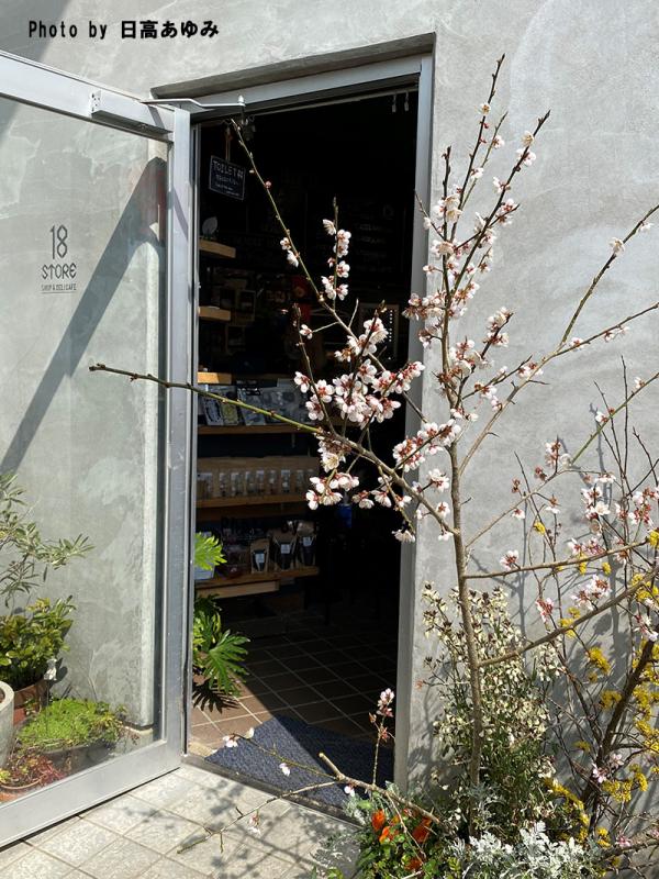 18STORE入口
