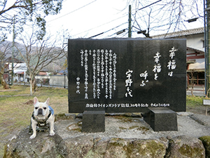 幸福は幸福を呼ぶ