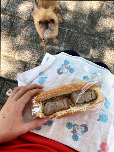 パンと日高さんの愛犬の写真