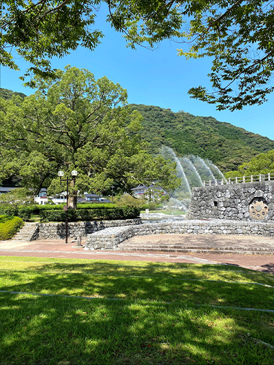 夏の城山の写真