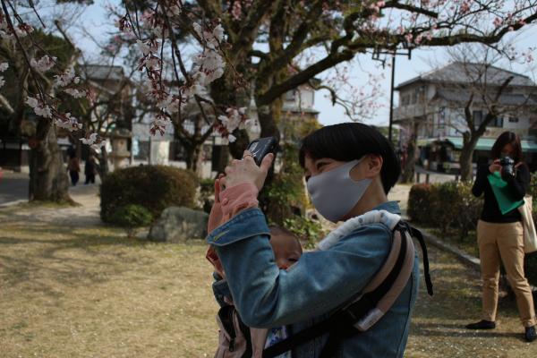 花の写真を撮影する日高さん