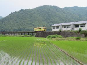 ホタルと田んぼ