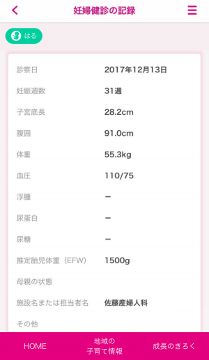 妊婦記録