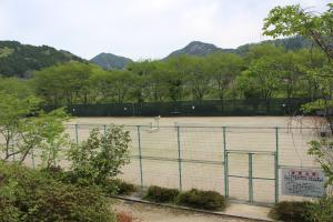 テニス場