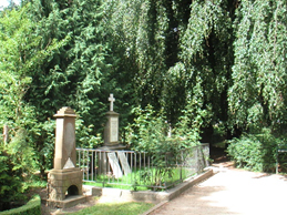 06-03