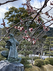 小次郎と梅の花