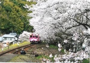 花びらも乗せて