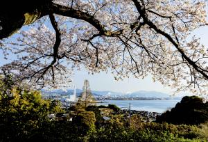 瀬戸の春