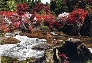 山里の石庭
