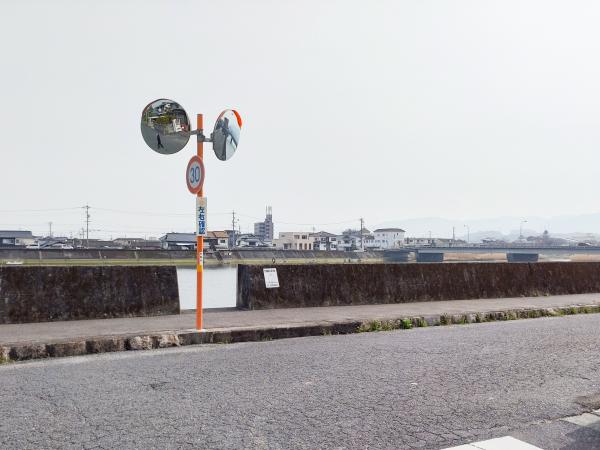 今津川の堤防の写真