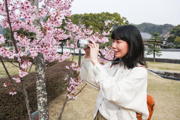 桜の写真を撮るすずきえりなさん