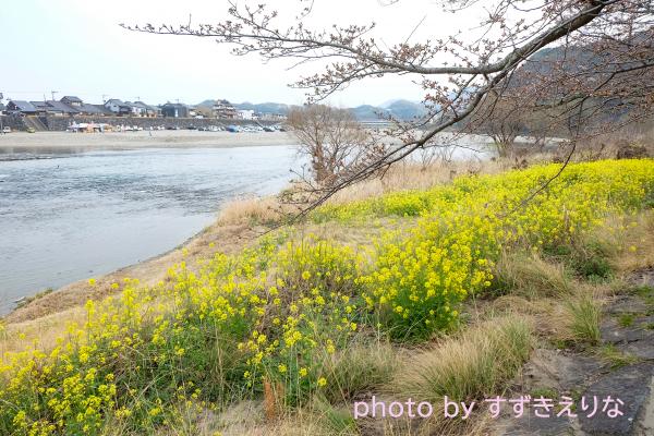河川敷の写真
