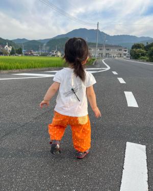 とんぼとさんぽ